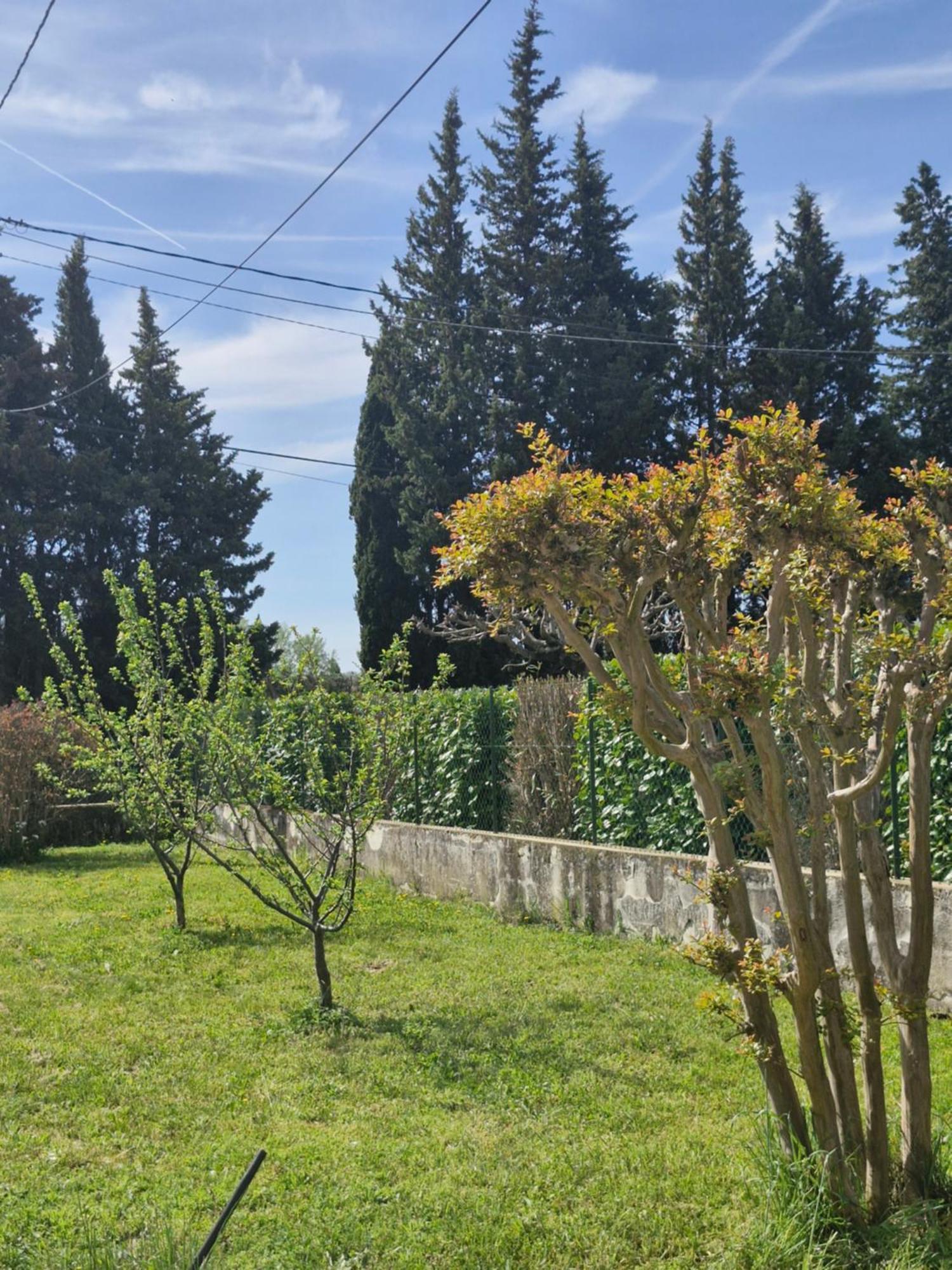 Maison Le Murier Aubignan Zewnętrze zdjęcie