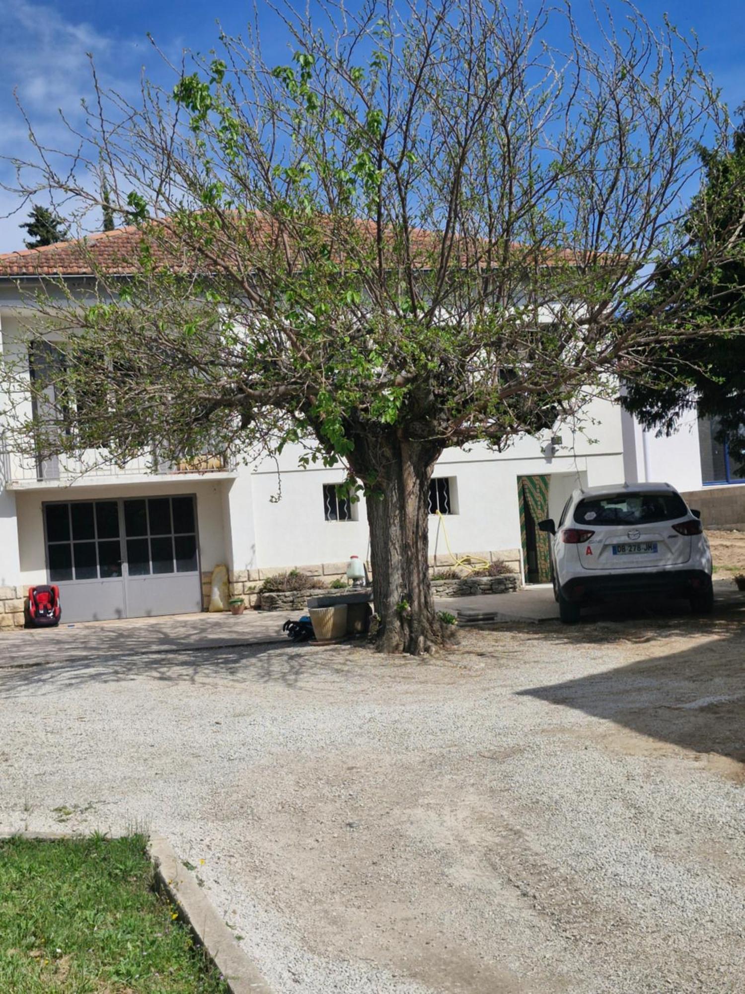 Maison Le Murier Aubignan Zewnętrze zdjęcie